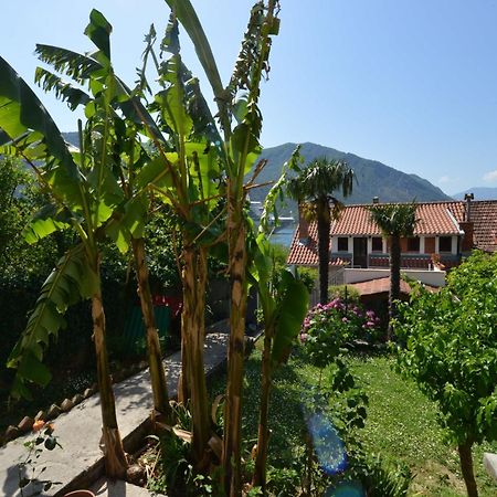 Apartments Popovic 2 Kotor Room photo