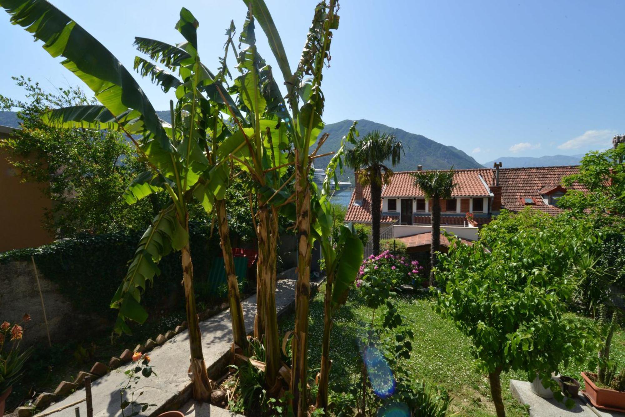 Apartments Popovic 2 Kotor Room photo