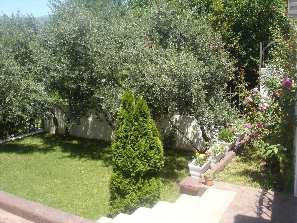 Apartments Popovic 2 Kotor Exterior photo