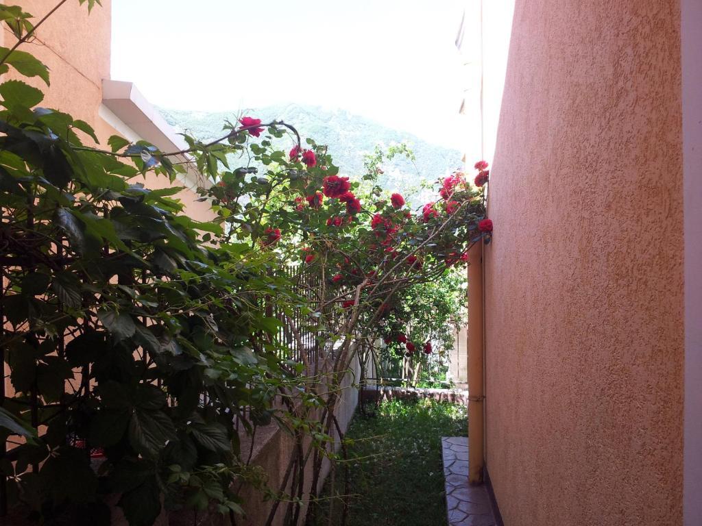 Apartments Popovic 2 Kotor Exterior photo